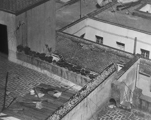 Vista de los tejados, 1924